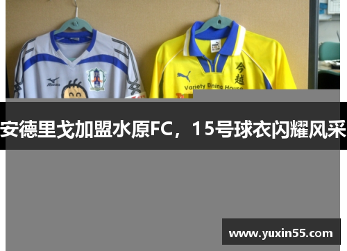 安德里戈加盟水原FC，15号球衣闪耀风采